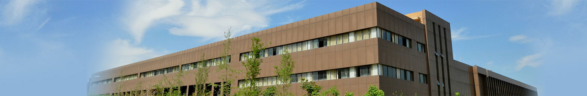 关于Z6尊龙凯时