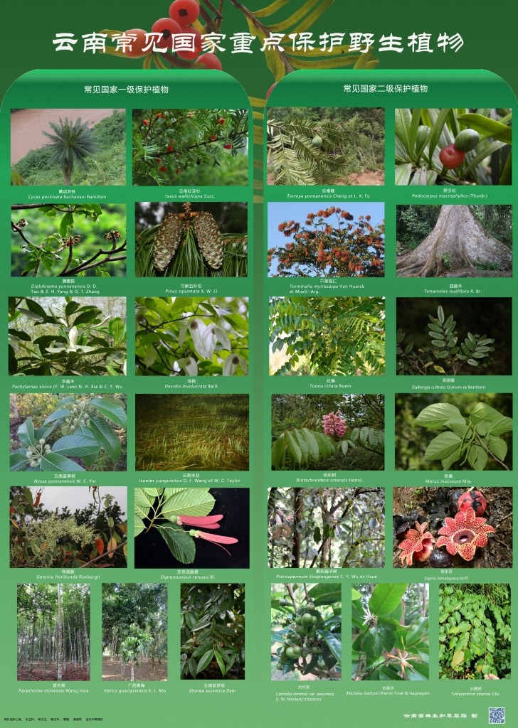 以案普法：危害国家重点；；；；ぶ参镒